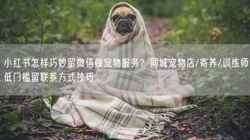 小红书怎样巧妙留微信做宠物服务？同城宠物店/寄养/训练师低门槛留联系方式技巧