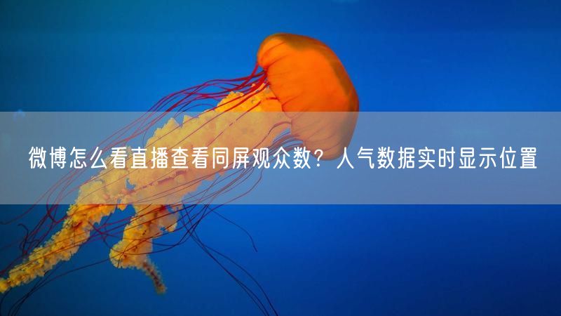 微博怎么看直播查看同屏观众数？人气数据实时显示位置