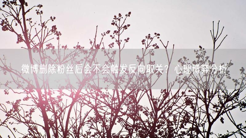 微博删除粉丝后会不会触发反向取关？心理博弈分析