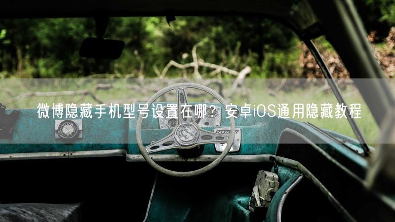 微博隐藏手机型号设置在哪？安卓iOS通用隐藏教程