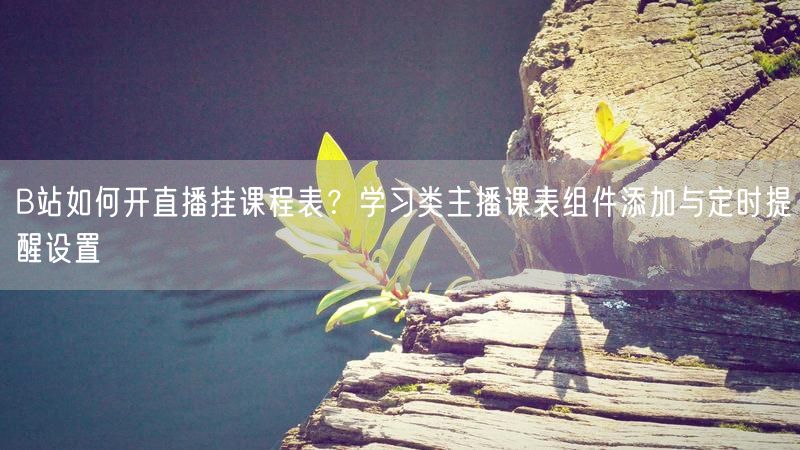 B站如何开直播挂课程表？学习类主播课表组件添加与定时提醒设置