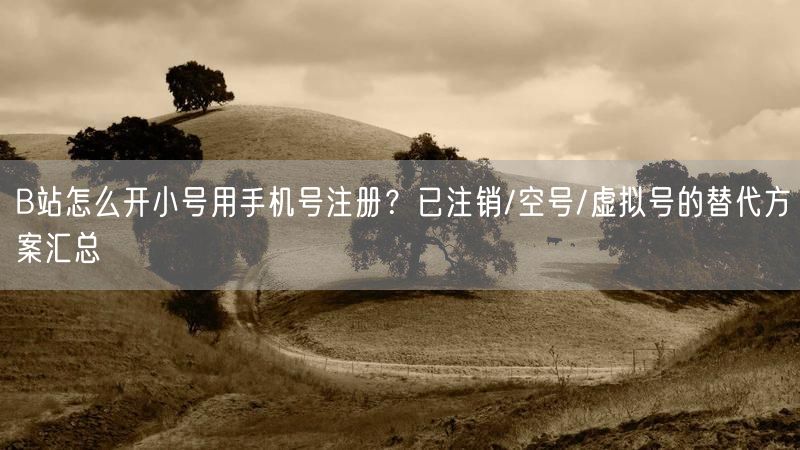 B站怎么开小号用手机号注册？已注销/空号/虚拟号的替代方案汇总