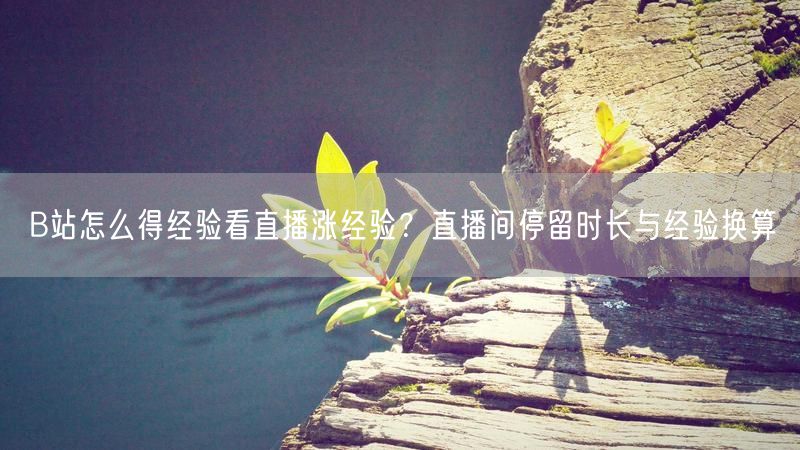 B站怎么得经验看直播涨经验？直播间停留时长与经验换算