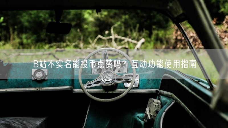B站不实名能投币点赞吗？互动功能使用指南