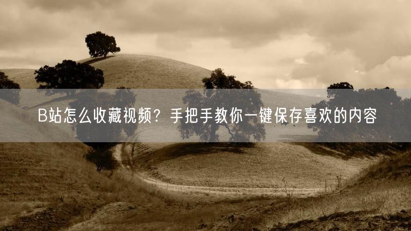 B站怎么收藏视频？手把手教你一键保存喜欢的内容