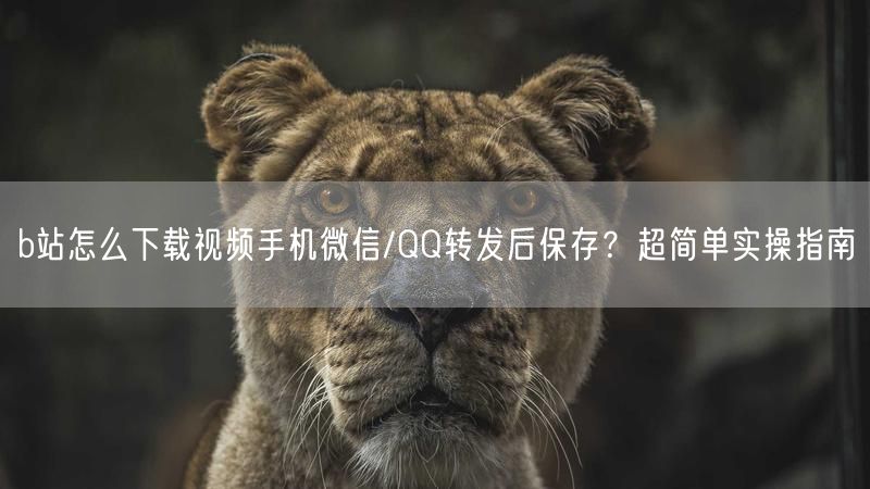 b站怎么下载视频手机微信/QQ转发后保存？超简单实操指南