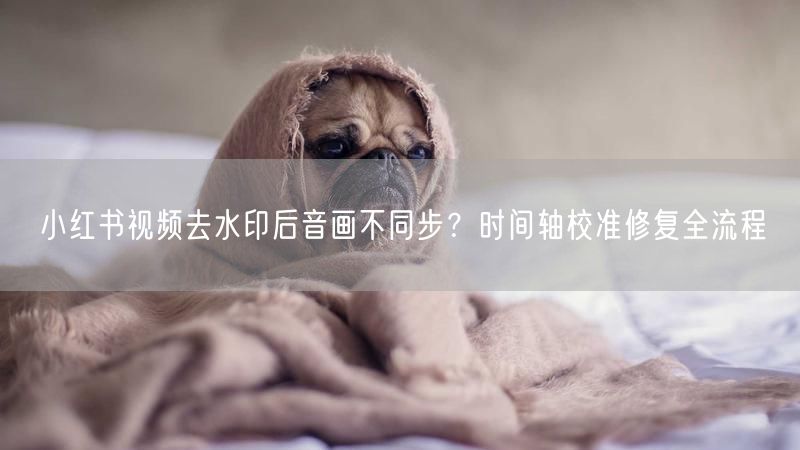小红书视频去水印后音画不同步？时间轴校准修复全流程