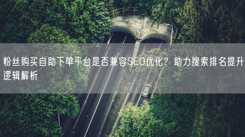 粉丝购买自助下单平台是否兼容SEO优化？助力搜索排名提升逻辑解析
