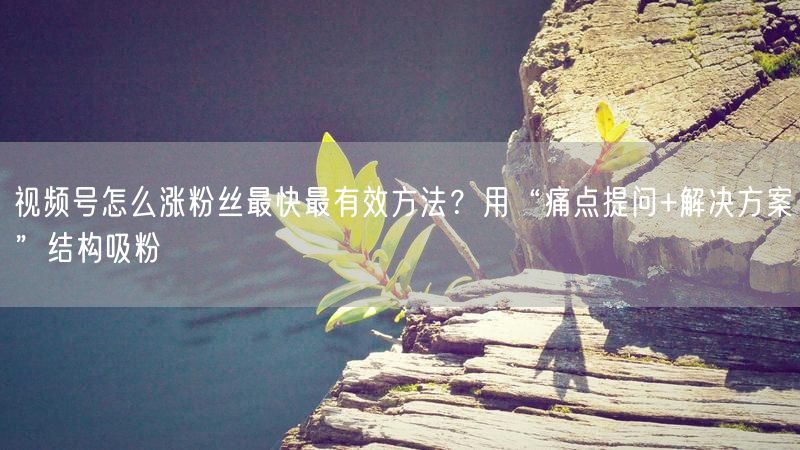 视频号怎么涨粉丝最快最有效方法？用“痛点提问+解决方案”结构吸粉