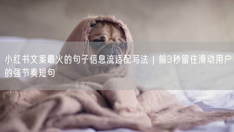 小红书文案最火的句子信息流适配写法｜前3秒留住滑动用户的强节奏短句