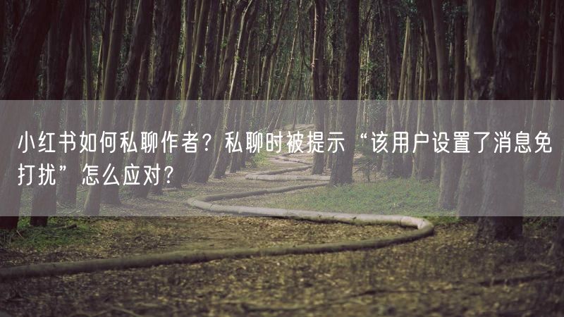 小红书如何私聊作者？私聊时被提示“该用户设置了消息免打扰”怎么应对？