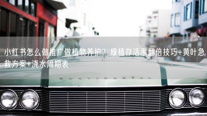 小红书怎么做推广做植物养护？绿植存活率翻倍技巧+黄叶急救方案+浇水周期表
