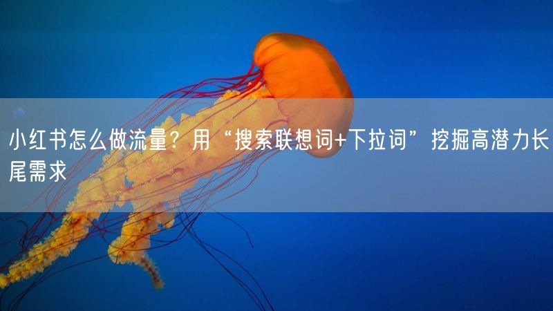 小红书怎么做流量？用“搜索联想词+下拉词”挖掘高潜力长尾需求