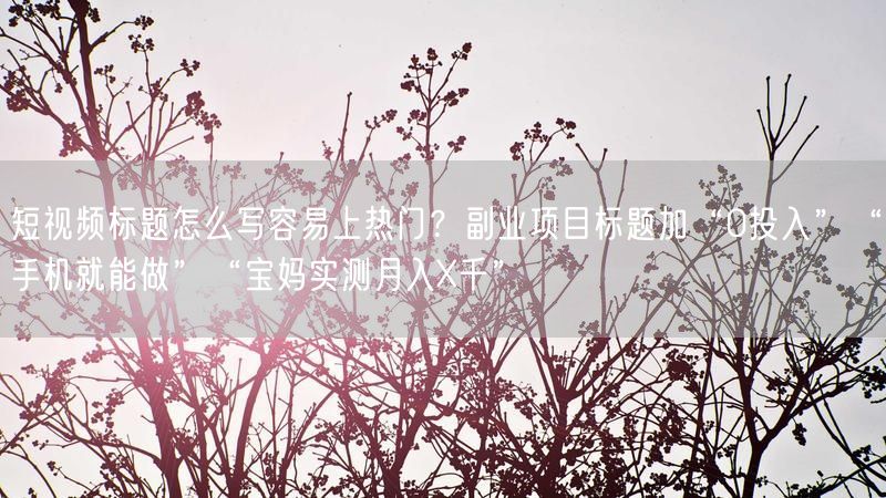 短视频标题怎么写容易上热门？副业项目标题加“0投入”“手机就能做”“宝妈实测月入X千”