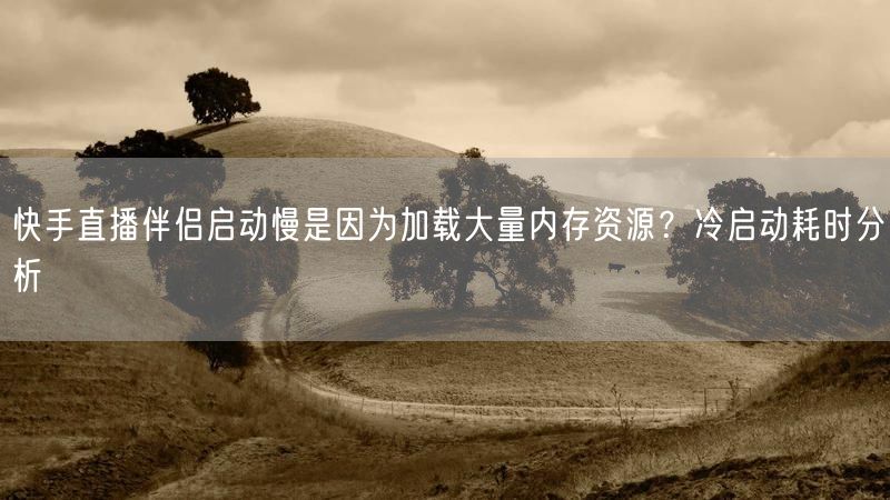 快手直播伴侣启动慢是因为加载大量内存资源？冷启动耗时分析