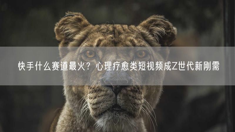 快手什么赛道最火？心理疗愈类短视频成Z世代新刚需