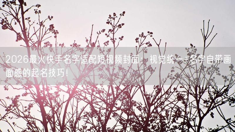 2026最火快手名字适配短视频封面：视觉统一+名字自带画面感的起名技巧！