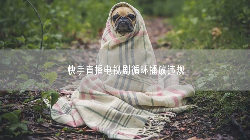 快手直播电视剧循环播放违规