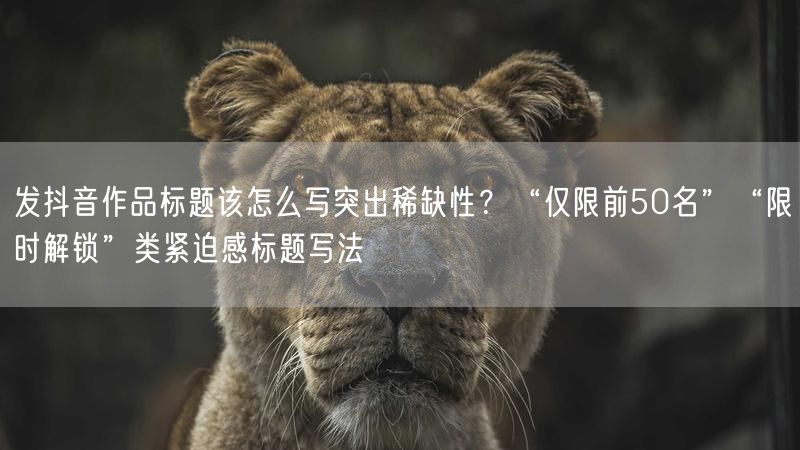 发抖音作品标题该怎么写突出稀缺性？“仅限前50名”“限时解锁”类紧迫感标题写法