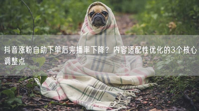 抖音涨粉自助下单后完播率下降？内容适配性优化的3个核心调整点