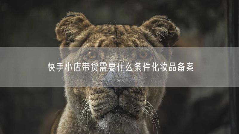 快手小店带货需要什么条件化妆品备案