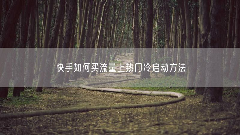 快手如何买流量上热门冷启动方法
