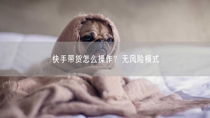 快手带货怎么操作？无风险模式