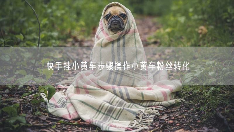 快手挂小黄车步骤操作小黄车粉丝转化