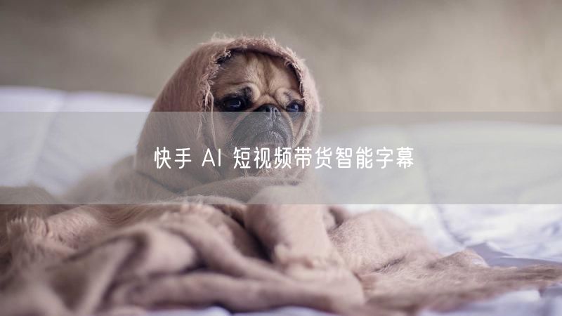 快手 AI 短视频带货智能字幕