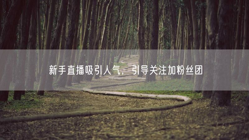 新手直播吸引人气，引导关注加粉丝团