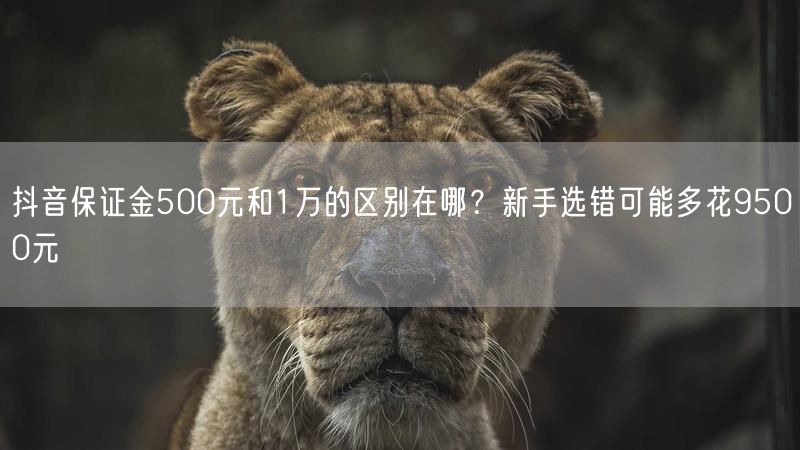 抖音保证金500元和1万的区别在哪？新手选错可能多花9500元