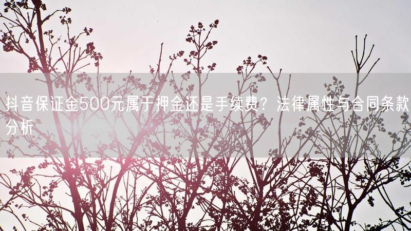 抖音保证金500元属于押金还是手续费？法律属性与合同条款分析