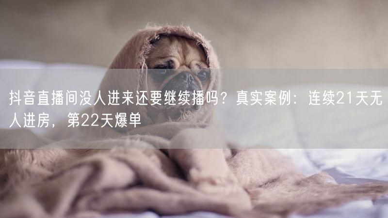 抖音直播间没人进来还要继续播吗？真实案例：连续21天无人进房，第22天爆单