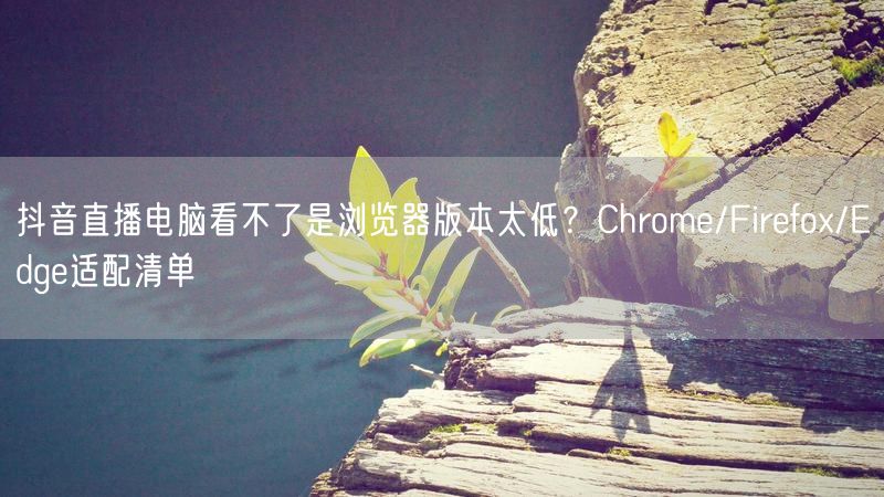 抖音直播电脑看不了是浏览器版本太低？Chrome/Firefox/Edge适配清单
