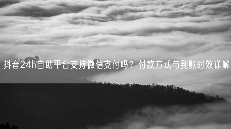 抖音24h自助平台支持微信支付吗？付款方式与到账时效详解