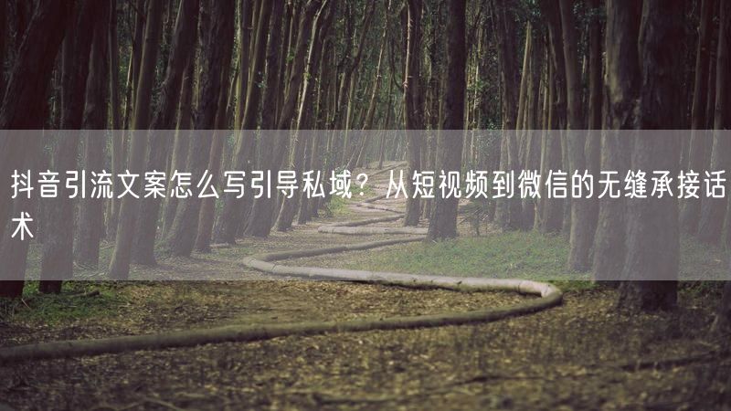 抖音引流文案怎么写引导私域？从短视频到微信的无缝承接话术