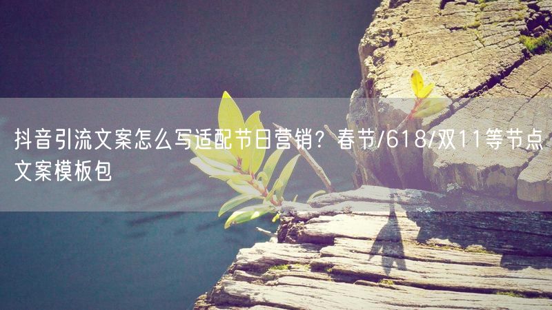 抖音引流文案怎么写适配节日营销？春节/618/双11等节点文案模板包