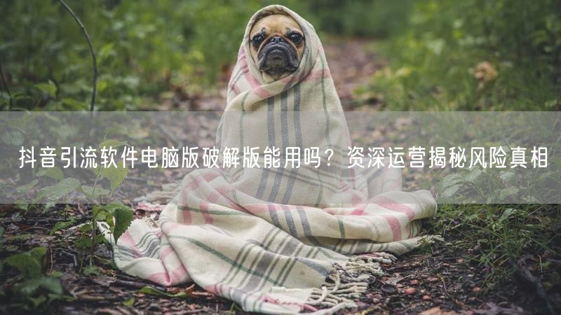 抖音引流软件电脑版破解版能用吗？资深运营揭秘风险真相
