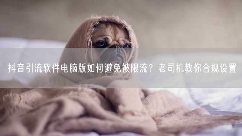 抖音引流软件电脑版如何避免被限流？老司机教你合规设置