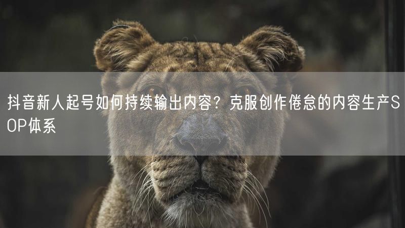 抖音新人起号如何持续输出内容？克服创作倦怠的内容生产SOP体系