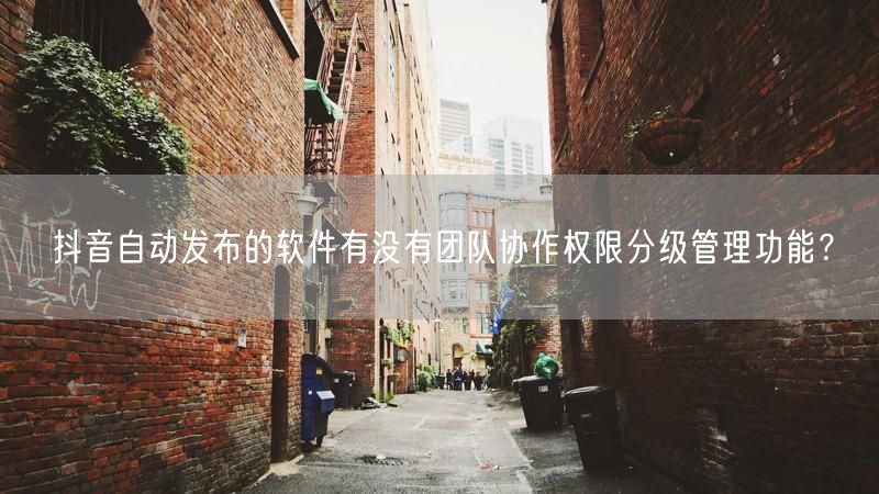 抖音自动发布的软件有没有团队协作权限分级管理功能？