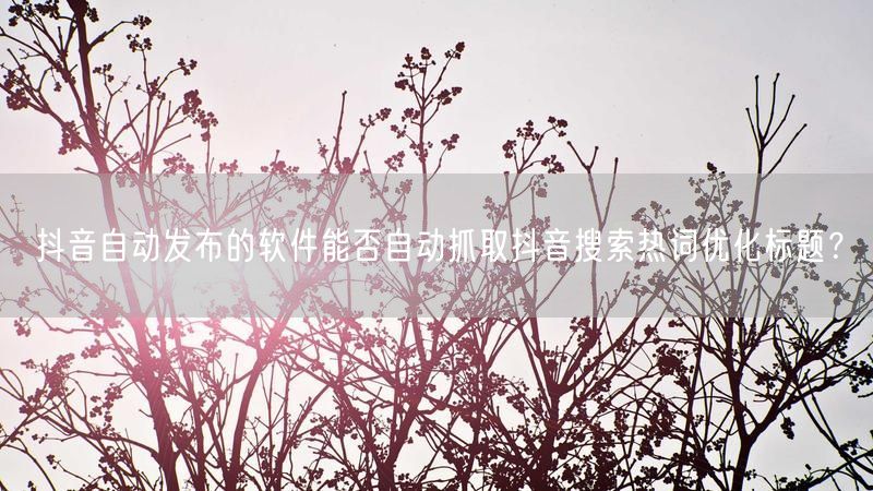 抖音自动发布的软件能否自动抓取抖音搜索热词优化标题？