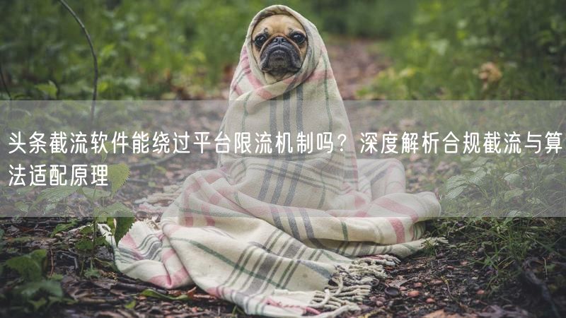 头条截流软件能绕过平台限流机制吗？深度解析合规截流与算法适配原理