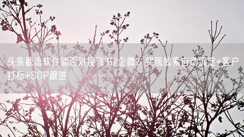 头条截流软件能否对接飞书/企微？实现线索自动沉淀+客户打标+SOP跟进