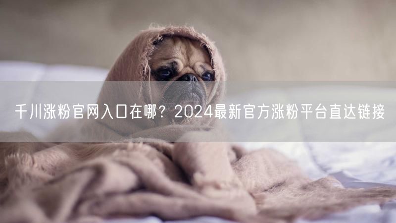 千川涨粉官网入口在哪？2024最新官方涨粉平台直达链接