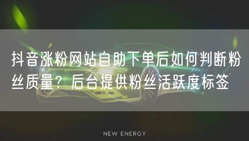 抖音涨粉网站自助下单后如何判断粉丝质量？后台提供粉丝活跃度标签