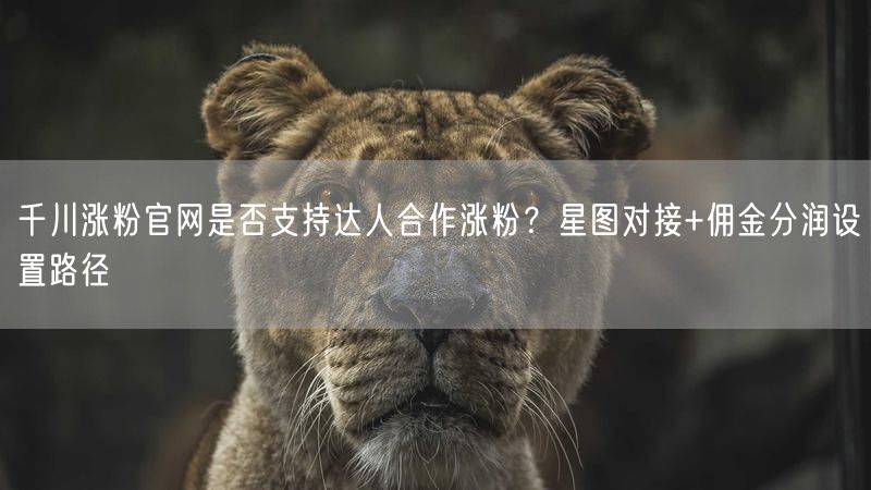 千川涨粉官网是否支持达人合作涨粉？星图对接+佣金分润设置路径