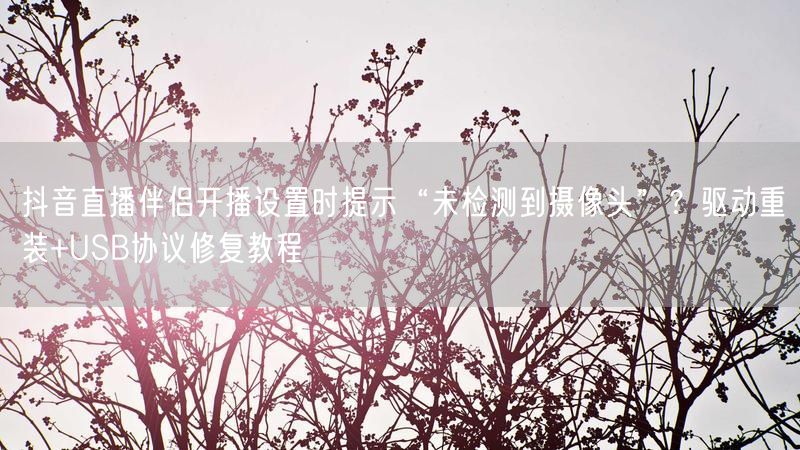 抖音直播伴侣开播设置时提示“未检测到摄像头”？驱动重装+USB协议修复教程