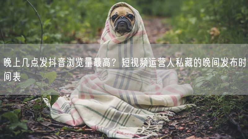 晚上几点发抖音浏览量最高？短视频运营人私藏的晚间发布时间表