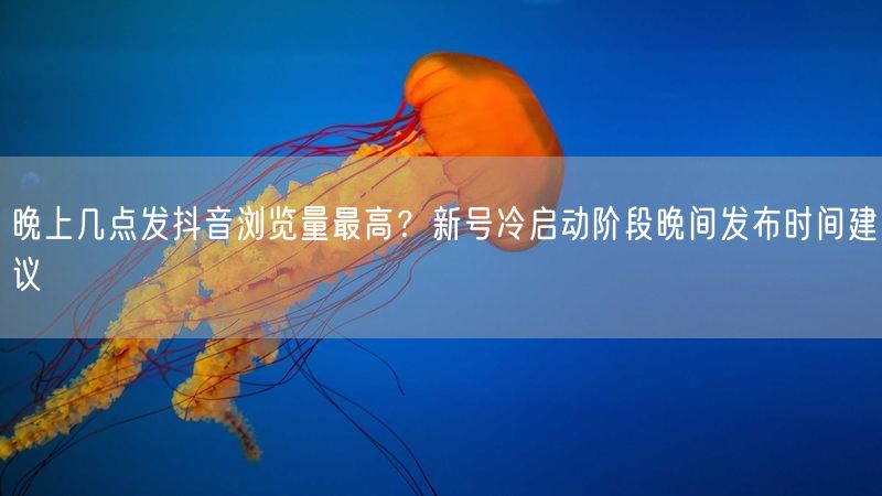 晚上几点发抖音浏览量最高？新号冷启动阶段晚间发布时间建议